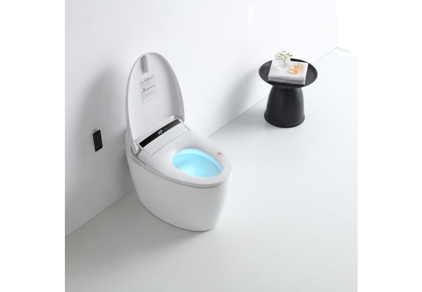 Eira Nashi New Intelligent Japanese Toilette (In-Tank) environnement 6