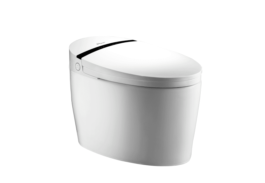 Aldara New Nashi Smart Japanese Toilet principal 1