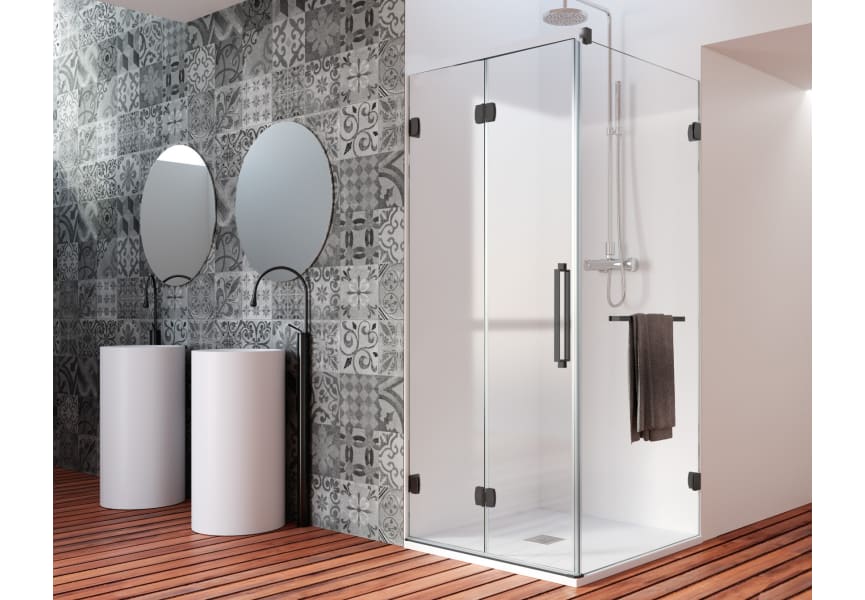 Paroi de douche Newglass (NG-219) Profiltek principal 0