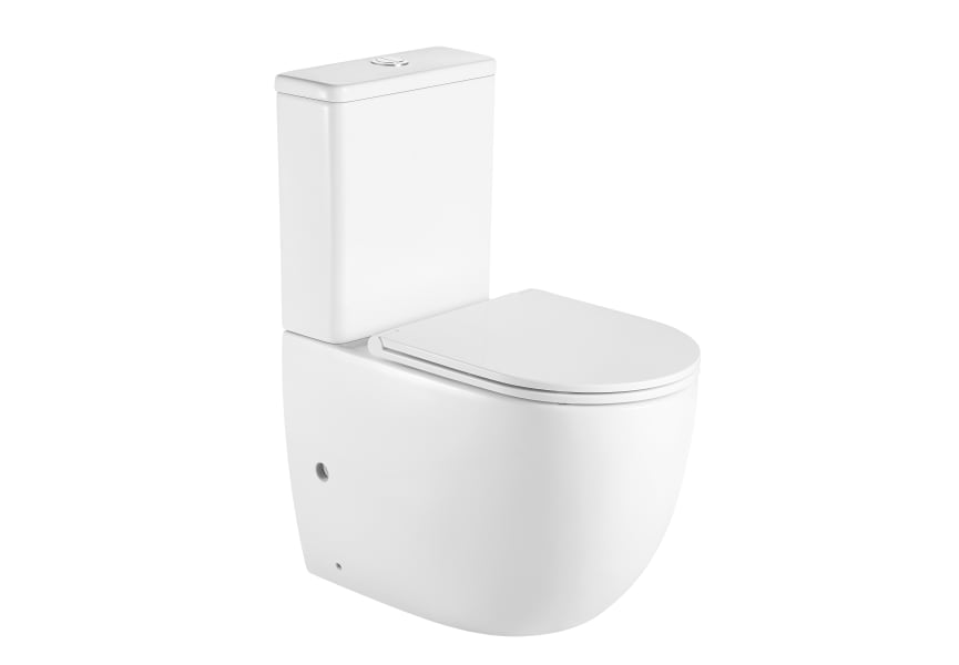 Toilette Bruntec Roundy principal 1
