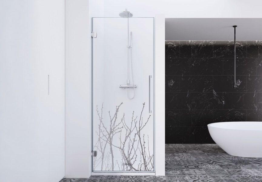 Paroi de douche Newglass (NG-210) Profiltek principal 0