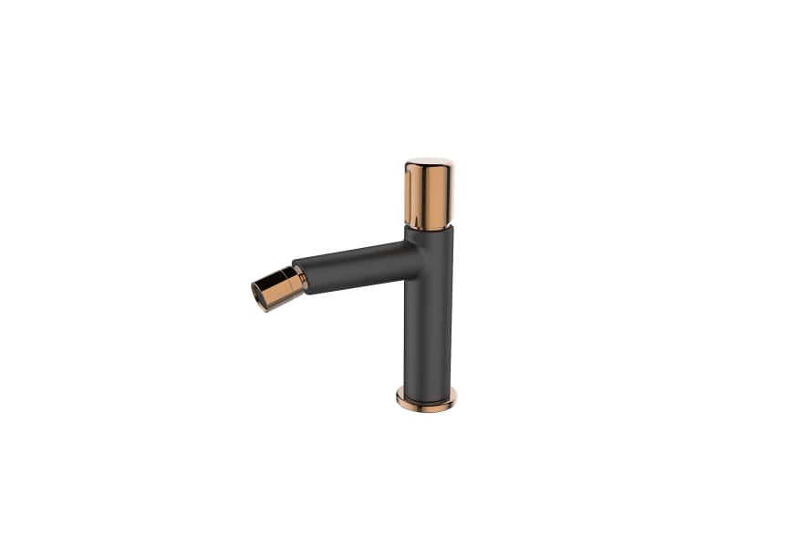 Robinetterie de bidet Tivoli Lluvibath principal 1