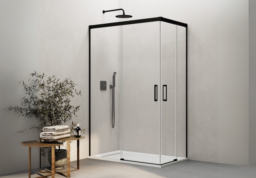 Paroi de douche Basic GME principal 0