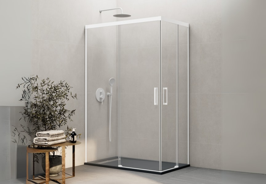 Paroi de douche Basic GME principal 2