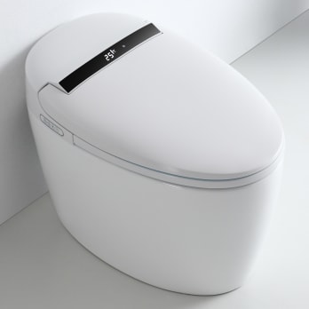 Eira Nashi New Intelligent Japanese Toilette (In-Tank)