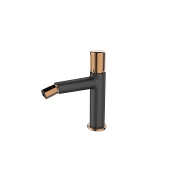 Robinetterie de bidet Tivoli Lluvibath