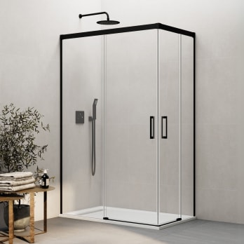 Paroi de douche Basic GME