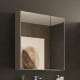 Armoire Skyline Coycama avec miroir principal 0