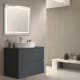 Meuble de salle de bains avec plan de toilette en pierre compacte colorée Ebi Bruntec couleurs principal 0