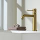 Bless Imex robinetterie de lavabo environnement 19