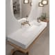 Vasque de salle de bains suspendue Austin Art and Bath principal 0