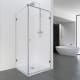 Paroi de douche Newglass (NG-208) Profiltek principal 0
