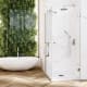 Paroi de douche Newglass (NG-208) Profiltek principal 1