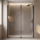 Paroi de douche sur mesure Vanity (VY-210) Profiltek principal 1