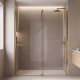 Paroi de douche sur mesure Vanity (VY-210) Profiltek principal 2