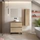 Meuble de salle de bain avec plan de toilette en bois MDF hydrofuge Granada Visobath principal 3