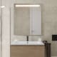 Miroir de salle de bain avec éclairage LED Tarim Bruntec principal 2