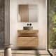 Meuble de salle de bains avec plan de toilette en bois de 10 cm de haut et caisson monocolore Nomad Visobath principal 0