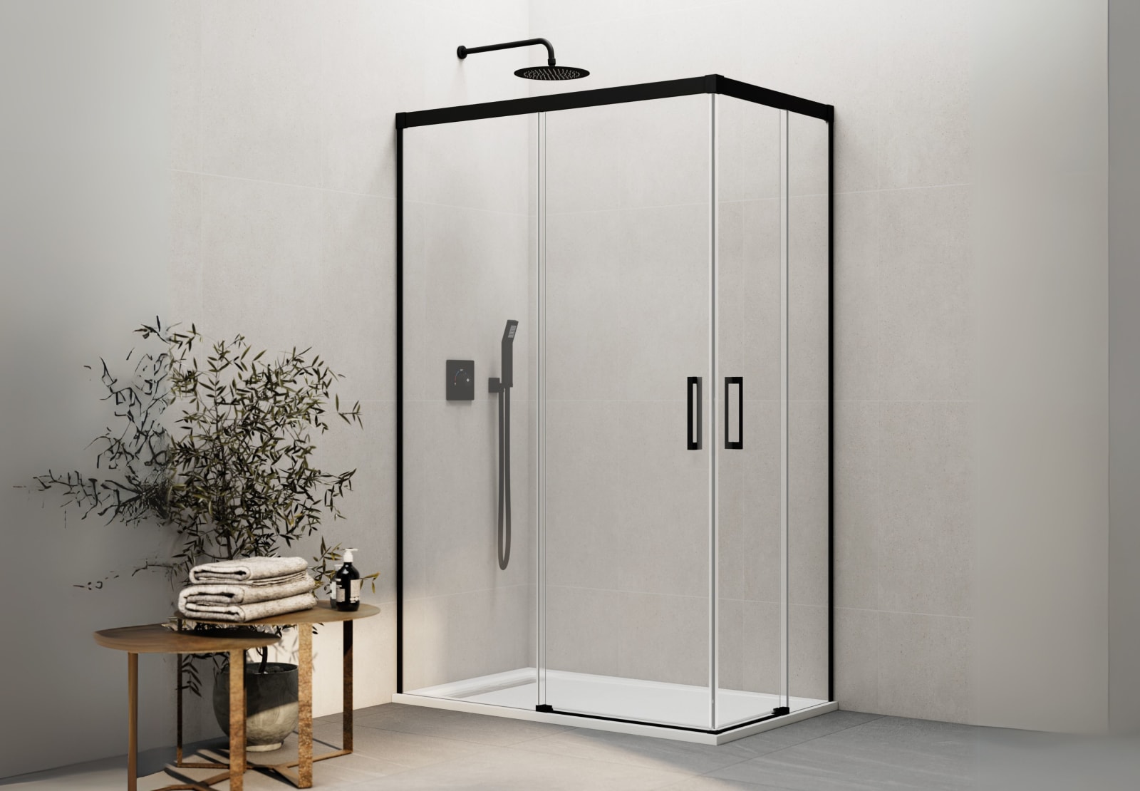 Paroi de douche Basic GME principal 0