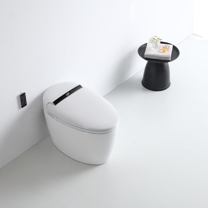 Eira Nashi New Intelligent Japanese Toilette (In-Tank) environnement 8