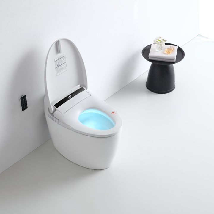 Eira Nashi New Intelligent Japanese Toilette (In-Tank) environnement 9