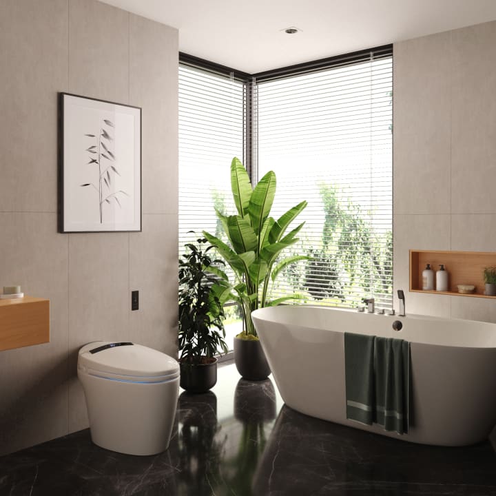 Eira Nashi New Intelligent Japanese Toilette (In-Tank) environnement 11