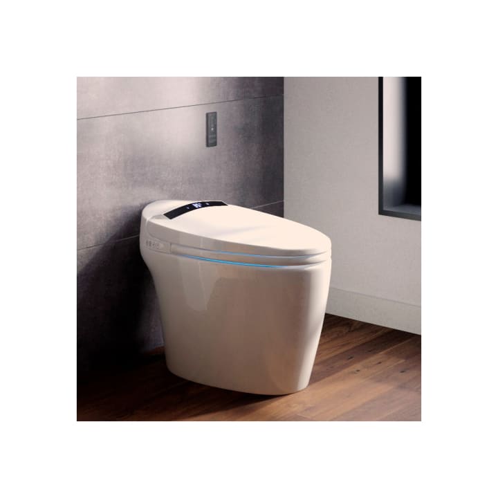 Eira Nashi New Intelligent Japanese Toilette (In-Tank) environnement 7