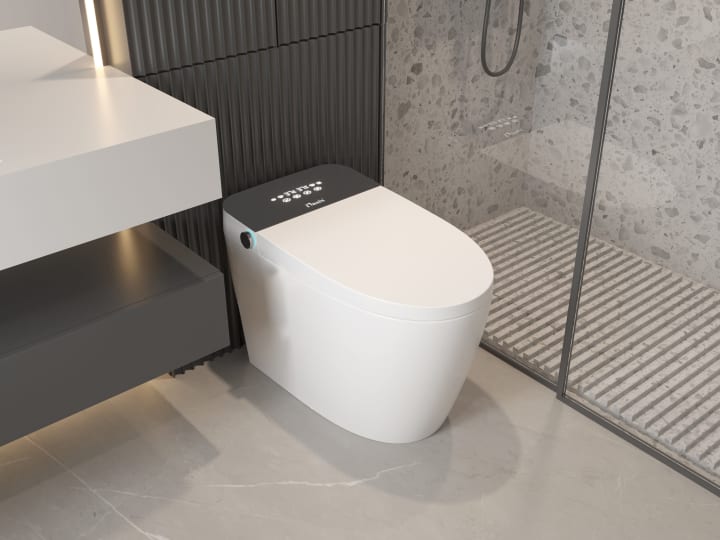 Toilette japonaise intelligente Ovian Plus Nashi environnement 8