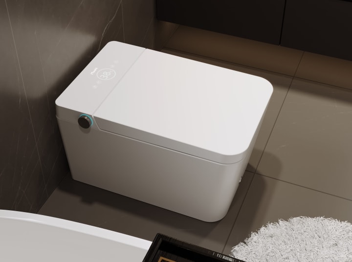 Toilette japonaise intelligente Ovian Square Nashi environnement 2