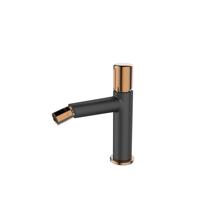 Robinetterie de bidet Tivoli Lluvibath principal 1